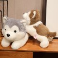 Miniatura Pluszowy Husky 40 cm